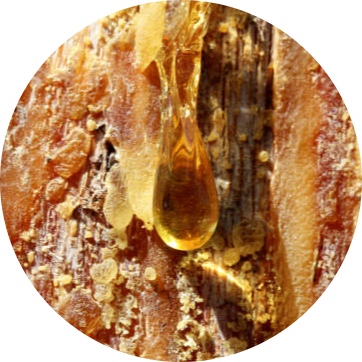 Amberwood