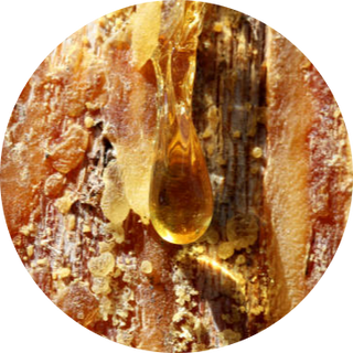 Amberwood
