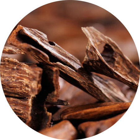 Agarwood
