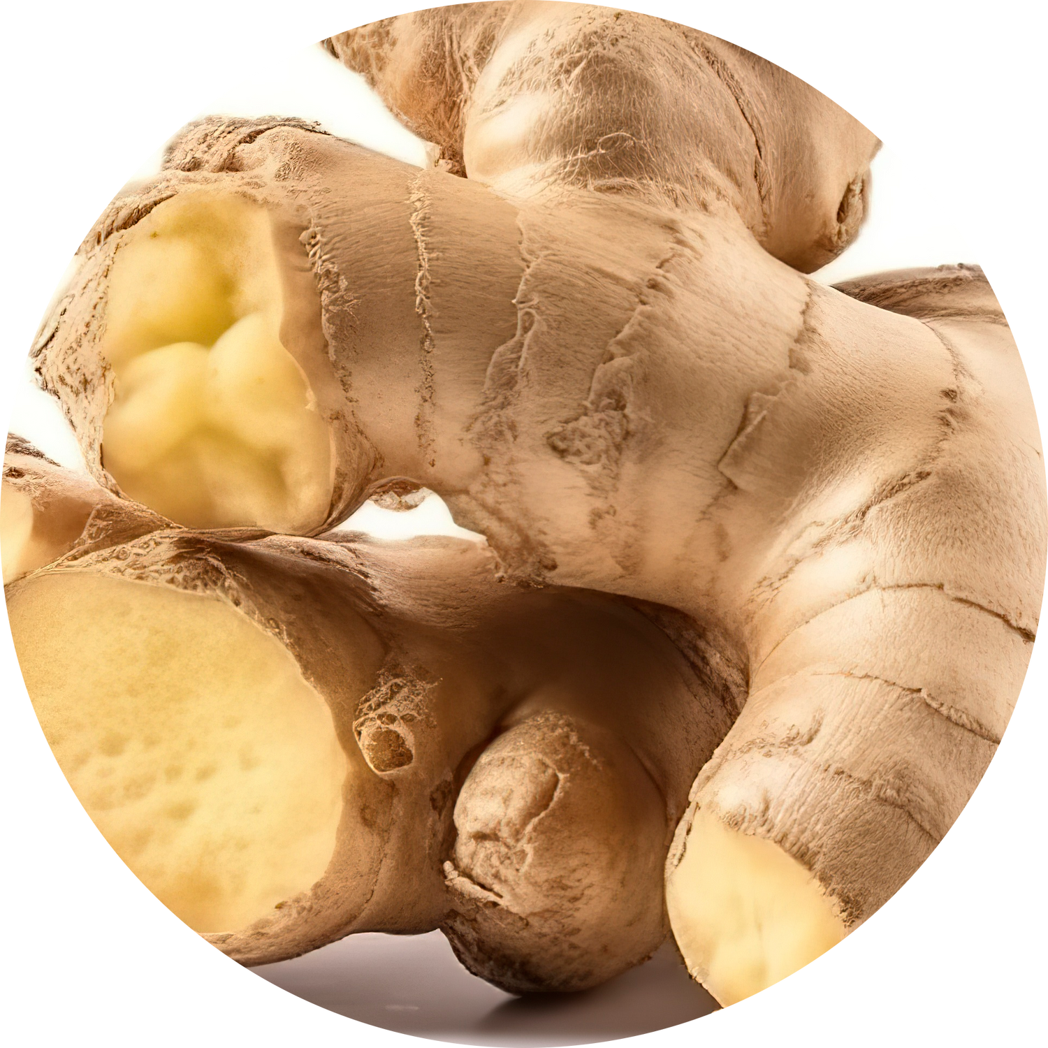 ginger