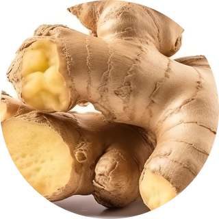 ginger