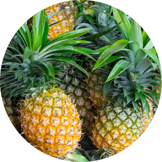 pineapple