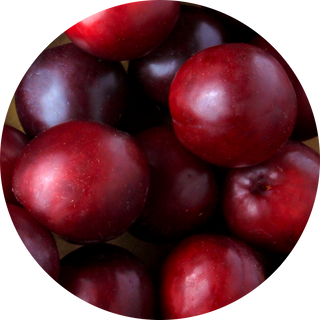 plum