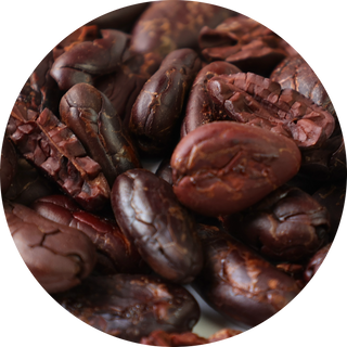 tonka bean