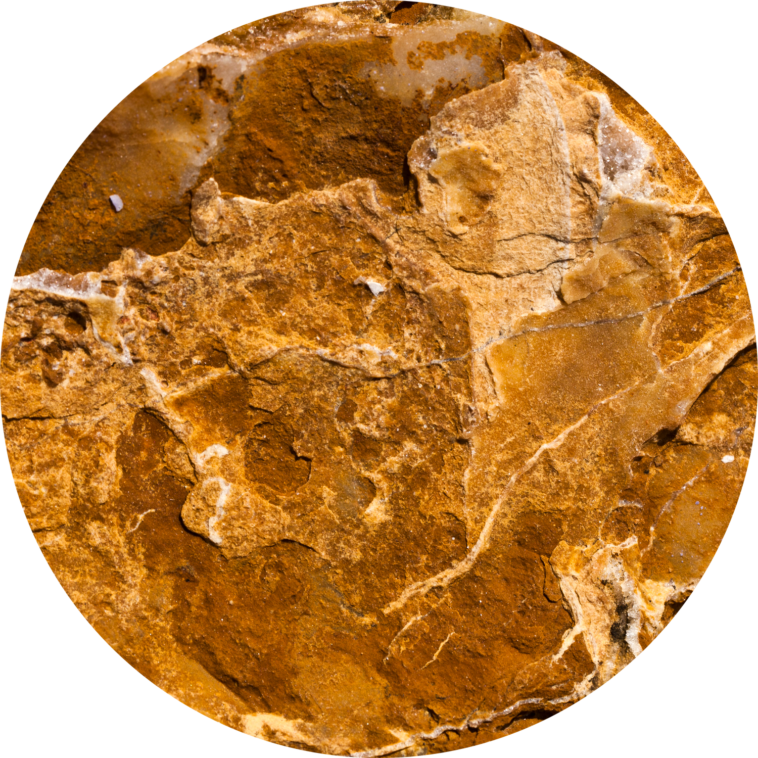 Ambergris