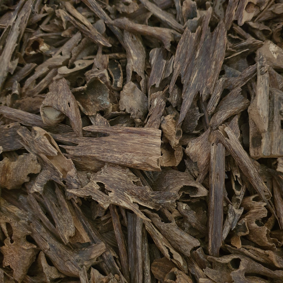 Woody Notes